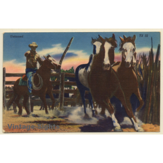 Wild West: Cowboy & Horses In Paddock (Vintage Linen PC ~1930s/1940s)