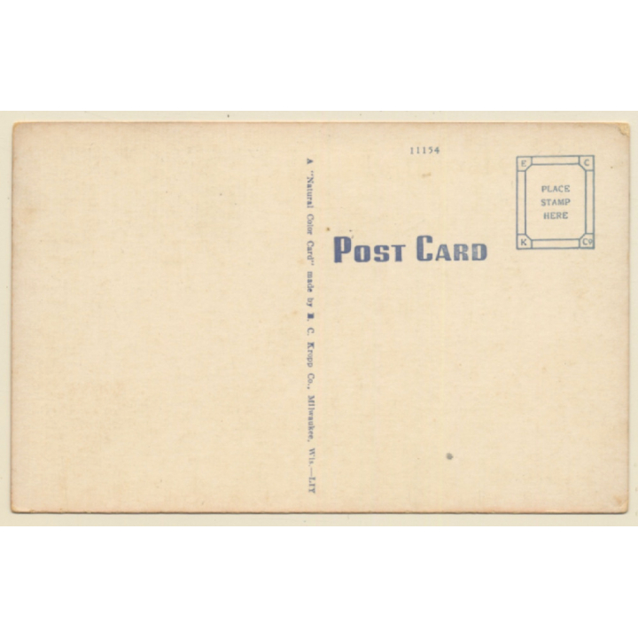 Rodeo: Bronco Busting / Cowboy (Vintage Linen PC ~1950s/1960s)