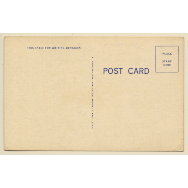 Rodeo: South Plains Tenderfoot / Cowboy (Vintage Linen PC ~1950s)