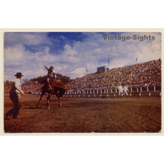 Pendleton Roundup Rodeo: Cowboy On Horse In Action (Vintage PC ~1960s)