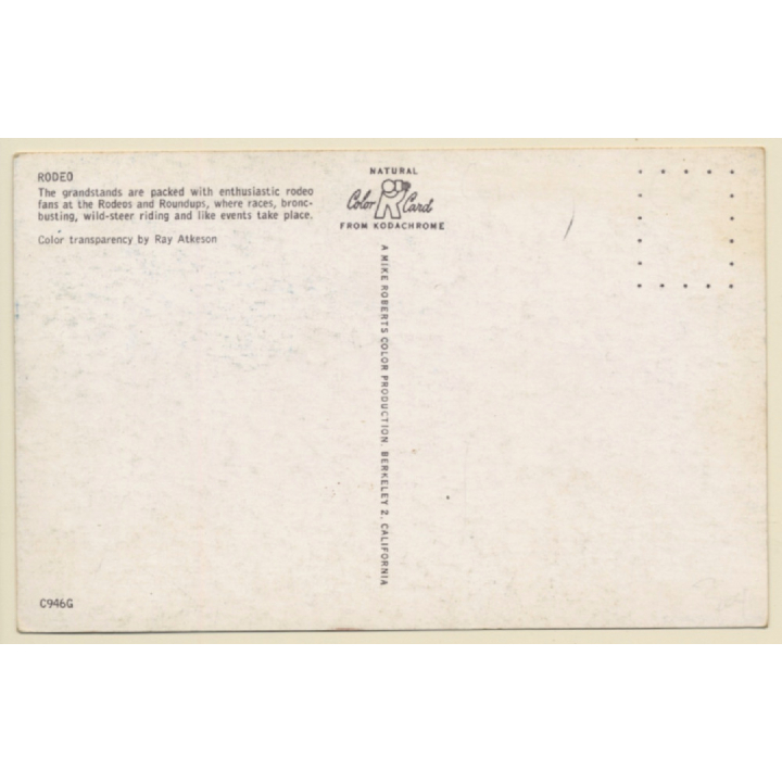 Pendleton Roundup Rodeo: Cowboy On Horse In Action (Vintage PC ~1960s)