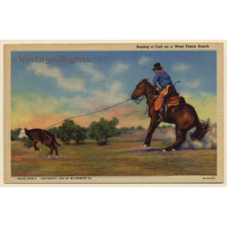 Cowboy Roping A Calf On A West Texas Ranch (Vintage Linen PC ~1940s)