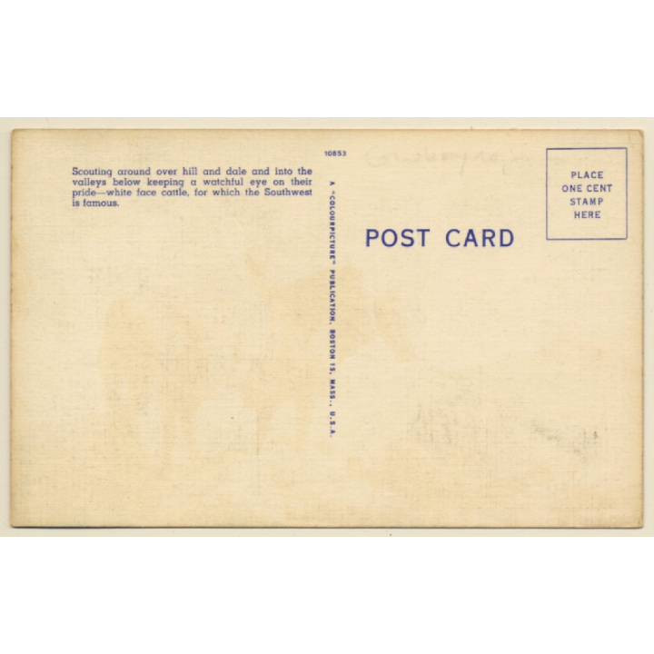 Cowboys: Cattle Kings Of The Great Southwest (Vintage Linen PC ~1940s)