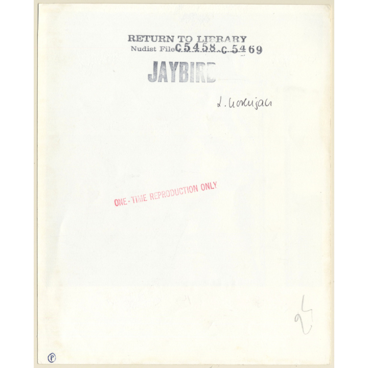 Jaybird Erotic Study: Nude Couple In Front Of Refrigerator (Vintage Photo KORENJAK 1960s/1970s)