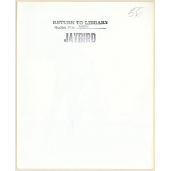 Jaybird Erotic Study: Nude Female Holds On To Nude Man / Body Painting (Vintage Photo KORENJAK 1960s/1970s)