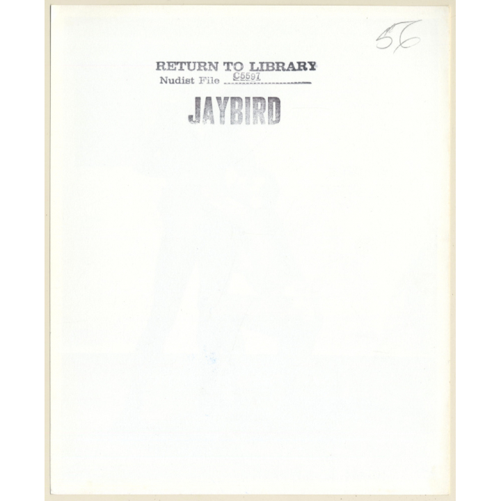 Jaybird Erotic Study: Nude Female Holds On To Nude Man / Body Painting (Vintage Photo KORENJAK 1960s/1970s)