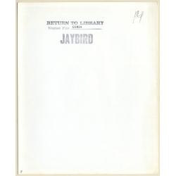 Jaybird Erotic Study: Nude Couple Dancing / Tan Lines (Vintage Photo KORENJAK 1960s/1970s)