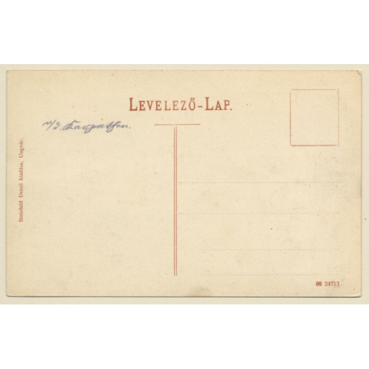 Ungvár - Uzhhorod / Ukraine: General View (Vintage PC ~1910s)