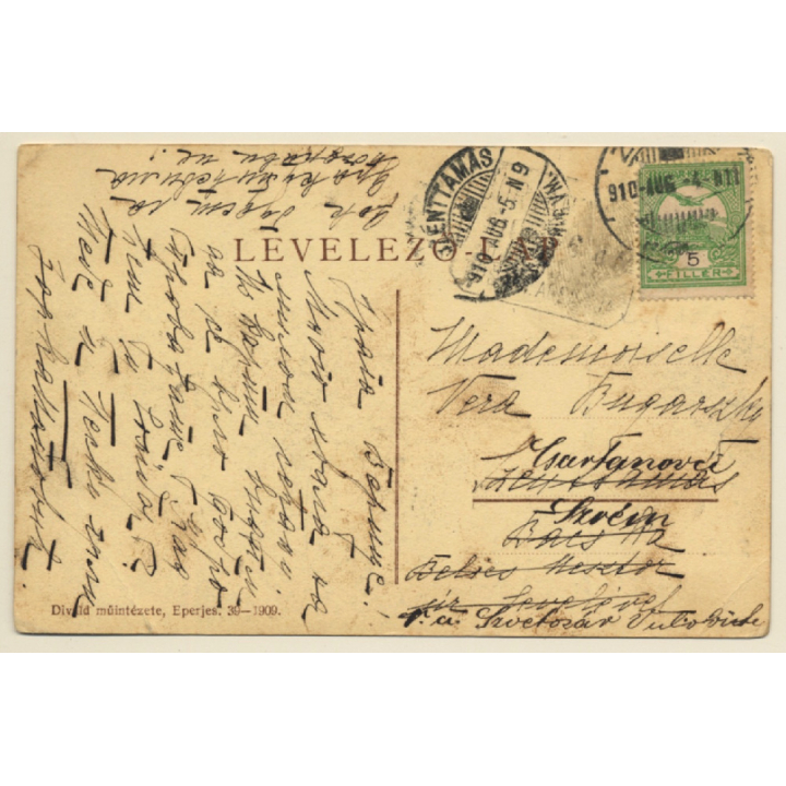 Bártfafürdö / Slovakia: Tahy-Udvar, Fö-úttal (Vintage PC 1910)