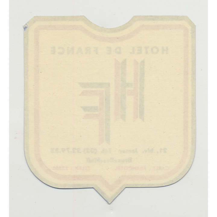 Hotel De France - Bruxelles-Midi / Belgium (Vintage Luggae Label)