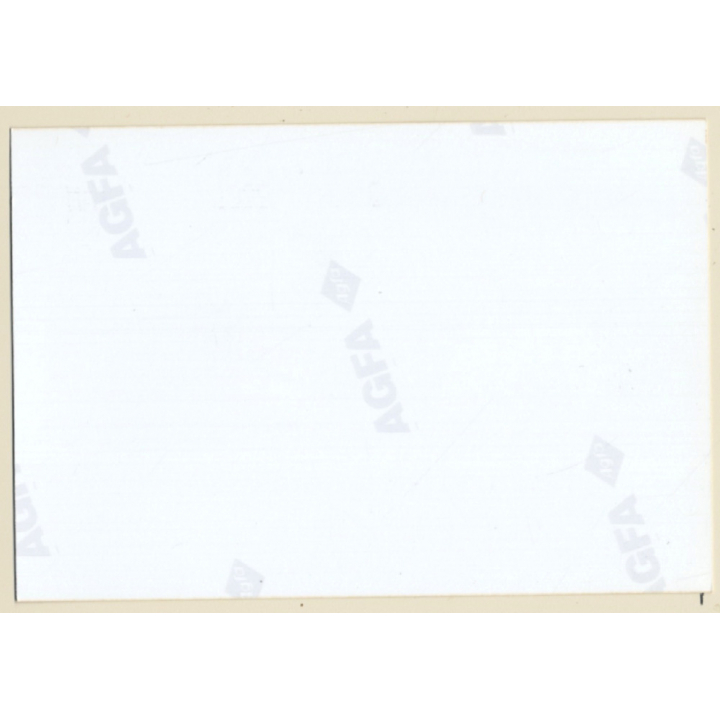 Erotic Study: Glamorous Semi Nude Blonde In Lingerie*5 (Vintage Photo ~1990s)