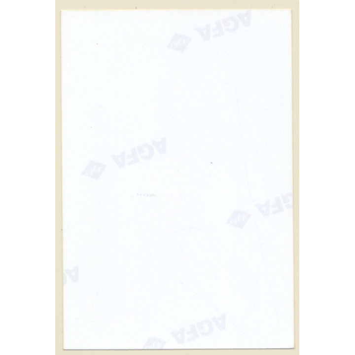 Erotic Study: Semi Nude Brunette Kneeling On Faux Fur Blanket (Vintage Photo ~1990s)