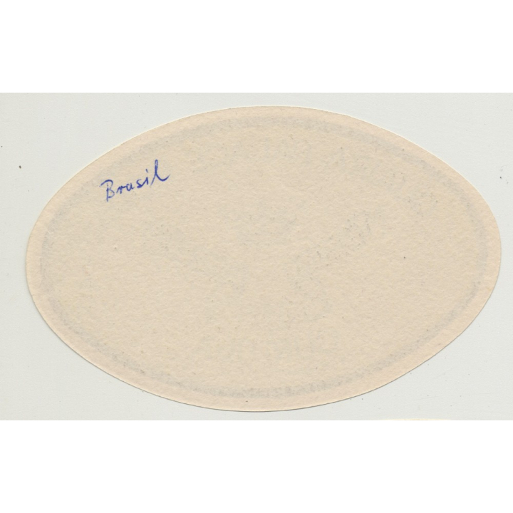 Guaira Palace Hotel - Curitiba / Brazil (Vintage Luggage Label: Small)