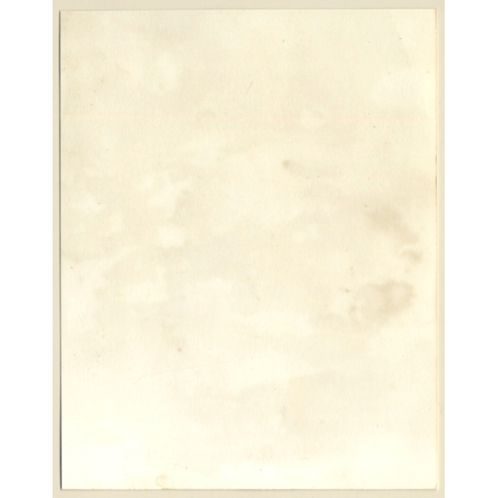 Erotic Study: Slim Shorthaired Nude Standing / Wallpaper (Vintage Photo GDR ~1970s/1980s)