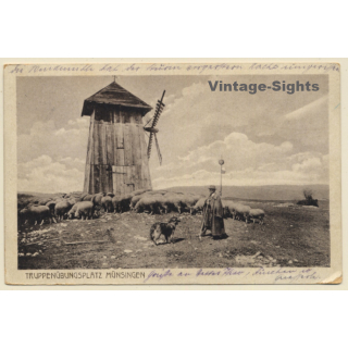 Münsingen / Germany: Truppenübungsplatz / Schäfer / Windmühle (Vintage PC 1918)