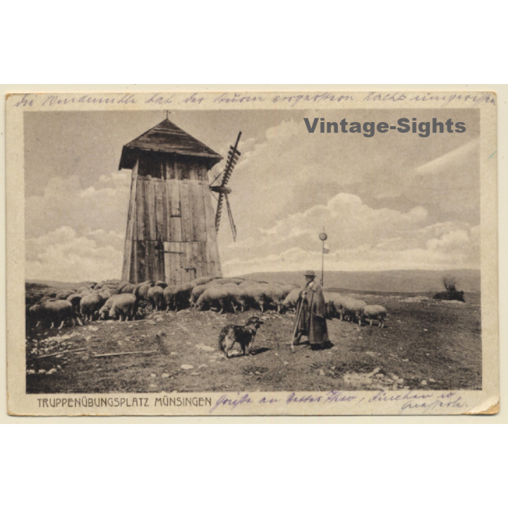 Münsingen / Germany: Truppenübungsplatz / Schäfer / Windmühle (Vintage PC 1918)