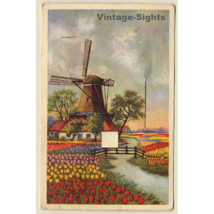 Dutch Windmill & Tulips (Vintage Liporello PC 1954)