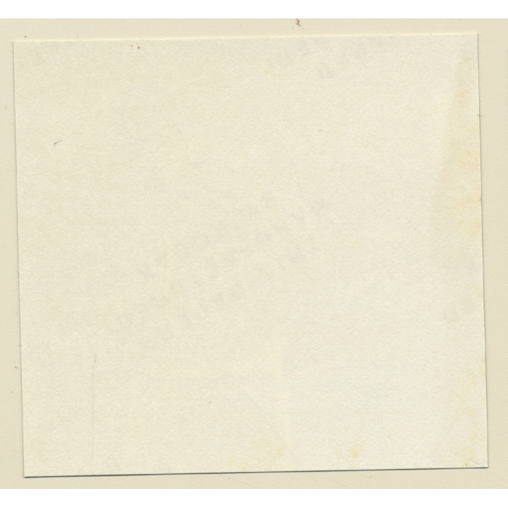 Erotic Study: Racy Busty Semi Nude Pin-up Outdoors*4 / Sunglasses (Vintage Contact Sheet Photo 1970s/1980s)