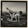 Erotic Study: Racy Busty Semi Nude Pin-up Outdoors*8 / Rocking Chair (Vintage Contact Sheet Photo 1970s/1980s)
