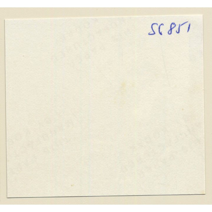 Erotic Study: Racy Busty Semi Nude Pin-up Outdoors*10 / Back - Butt (Vintage Contact Sheet Photo 1970s/1980s)