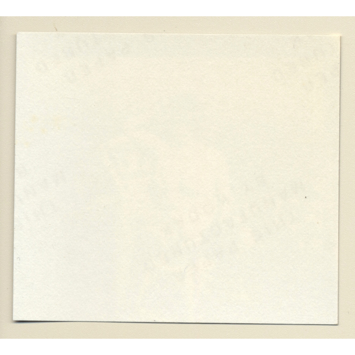 Erotic Study: Racy Busty Semi Nude Pin-up Outdoors*13 / Bra (Vintage Contact Sheet Photo 1970s/1980s)