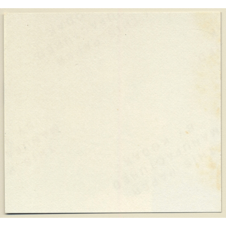 Erotic Study: Racy Busty Semi Nude Pin-up Outdoors*15 / Close-up Boobs (Vintage Contact Sheet Photo 1970s/1980s)