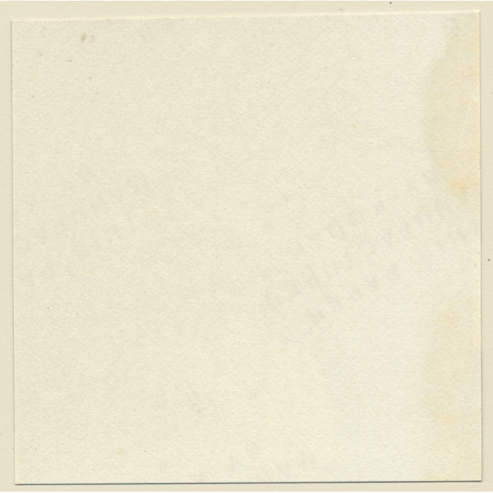 Erotic Study: Racy Busty Semi Nude Pin-up Outdoors*16 / Close-up Boobs (Vintage Contact Sheet Photo 1970s/1980s)