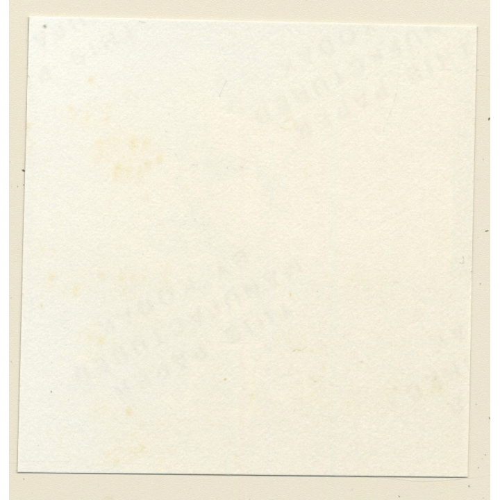 Erotic Study: Racy Busty Semi Nude Pin-up Outdoors*24 / Standing (Vintage Contact Sheet Photo 1970s/1980s)