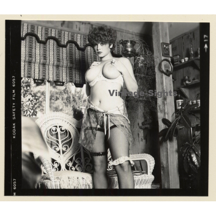 Erotic Study: Racy Busty Semi Nude Pin-up In Garden House*3 / Standing (Vintage Contact Sheet Photo 1970s/1980s)
