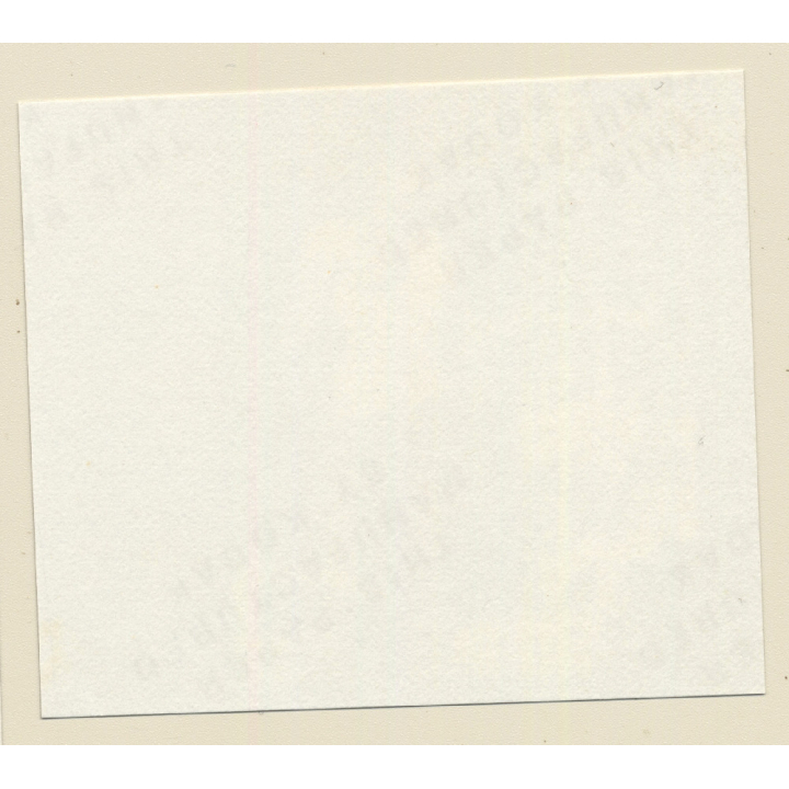 Erotic Study: Racy Busty Semi Nude Pin-up In Garden House*3 / Standing (Vintage Contact Sheet Photo 1970s/1980s)