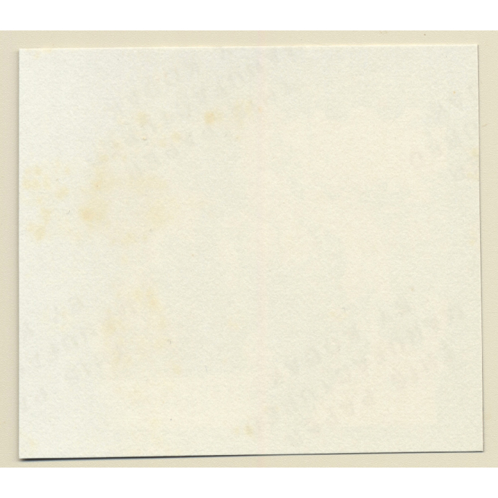 Erotic Study: Racy Busty Semi Nude Pin-up In Garden House*6 / Rear View (Vintage Contact Sheet Photo 1970s/1980s)