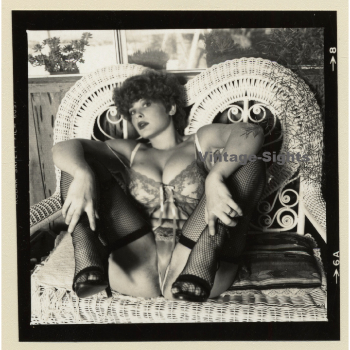 Erotic Study: Racy Busty Semi Nude Pin-up In Garden House*9 / Wicker Chair (Vintage Contact Sheet Photo 1970s/1980s)