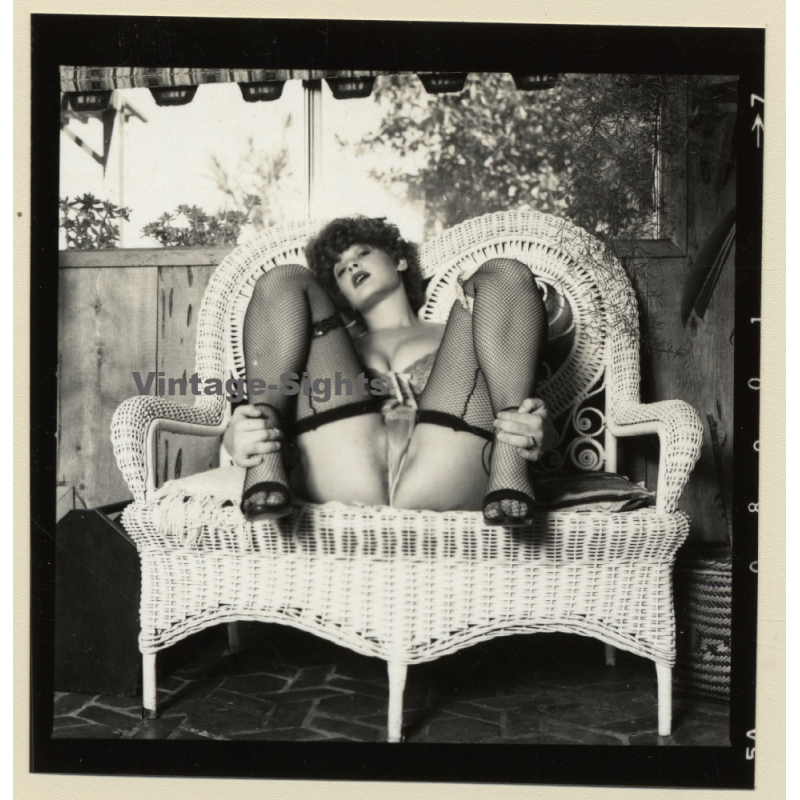 Erotic Study: Racy Busty Semi Nude Pin-up In Garden House*24 / Cheeky Look (Vintage Contact Sheet Photo 1970s/1980s)