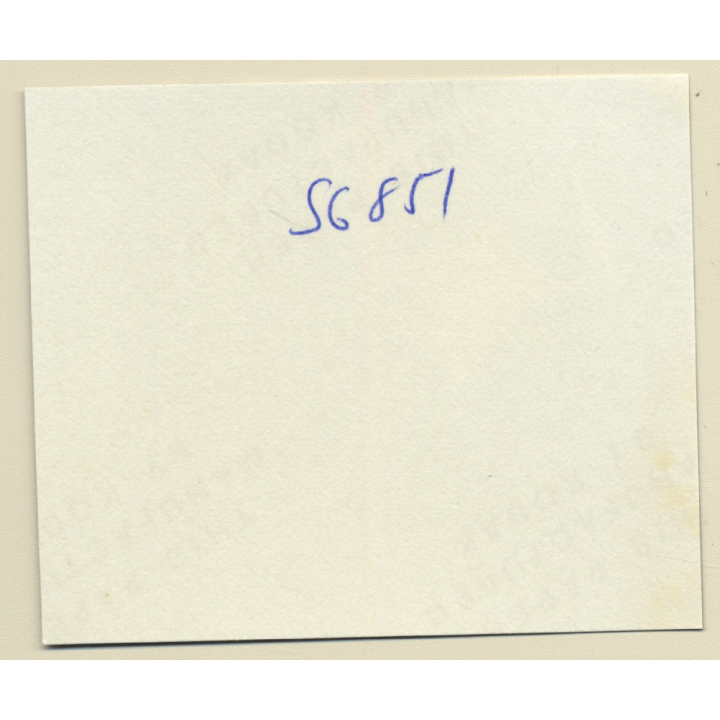 Erotic Study: Racy Busty Semi Nude Pin-up In Garden House*26 / Legs - Garter (Vintage Contact Sheet Photo 1970s/1980s)