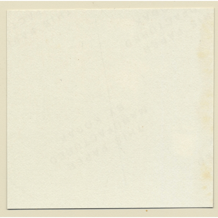 Erotic Study: Racy Busty Semi Nude Pin-up In Garden House*34 / Legs - Thighs (Vintage Contact Sheet Photo 1970s/1980s)