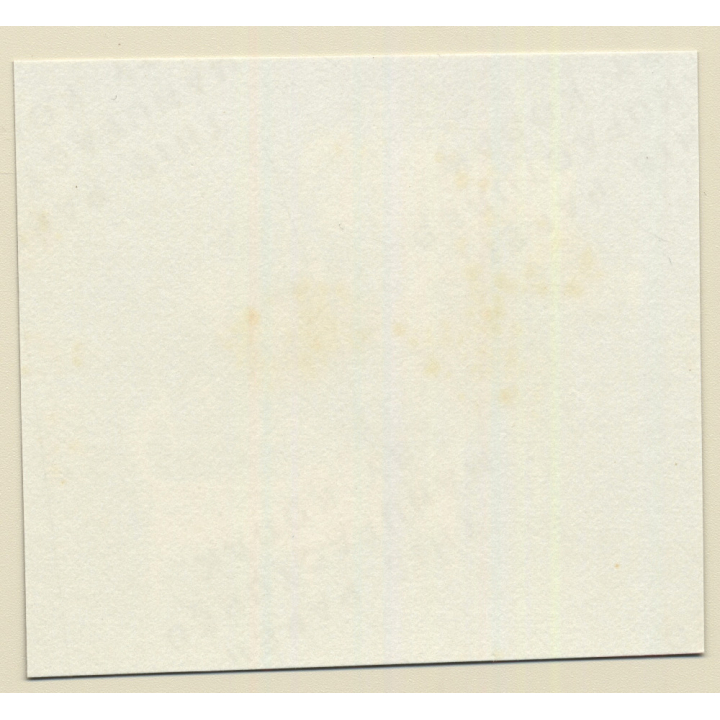 Erotic Study: Racy Busty Semi Nude Pin-up In Garden House*36 / Garter (Vintage Contact Sheet Photo 1970s/1980s)