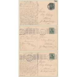 Couple In Love With Sleigh / Wintersports (Set Of 3 Vintage PC 1909)