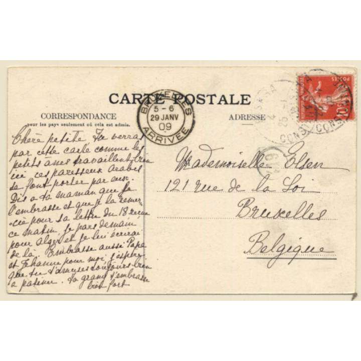 Biskra / Algeria: Quartier de Bab Darb / Natives - Donkey (Vintage PC 1909)