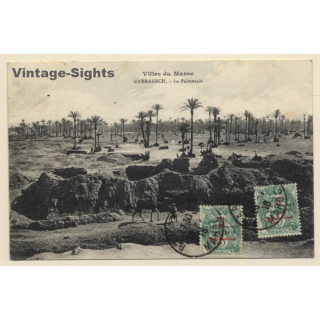 Marrakesh / Morocco: Le Palmerais - Camel - Palm Trees (Vintage PC 1916)
