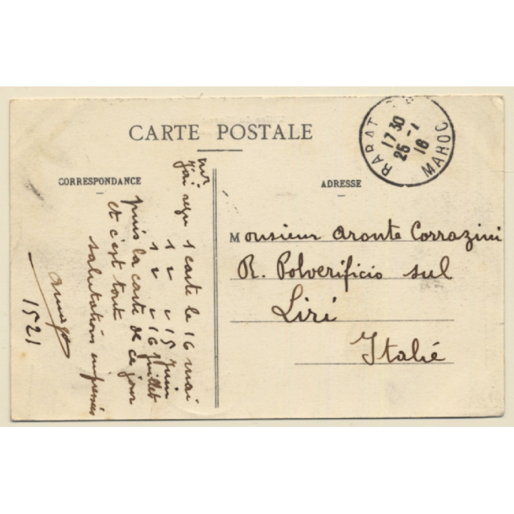 Marrakesh / Morocco: Le Palmerais - Camel - Palm Trees (Vintage PC 1916)