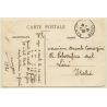 Marrakesh / Morocco: Le Palmerais - Camel - Palm Trees (Vintage PC 1916)