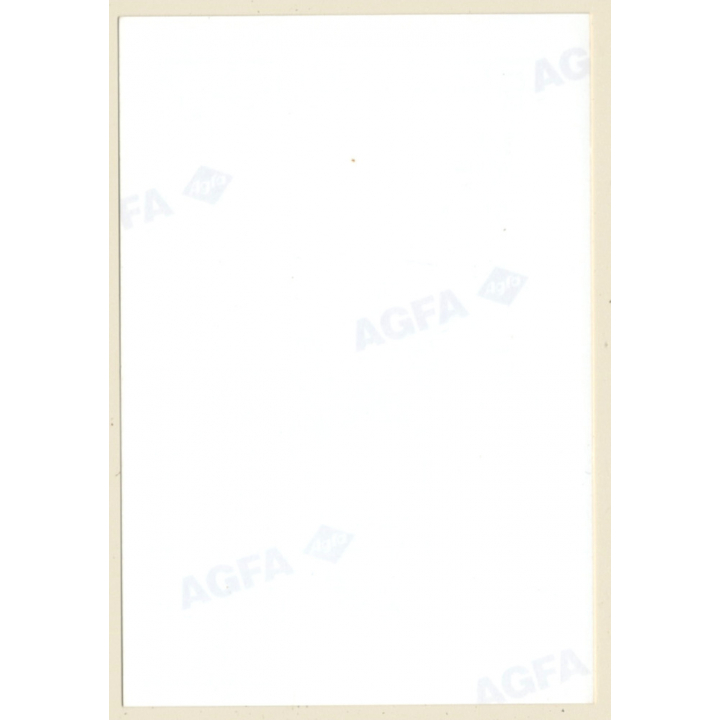 Erotic Study: Cheeky Semi Nude Brunette Female*4 / Venetian Mask (Vintage Photo ~1990s)