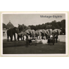 Hellabrunn: Münchner Tierpark / Elefantenherde (Vintage PC 1957)
