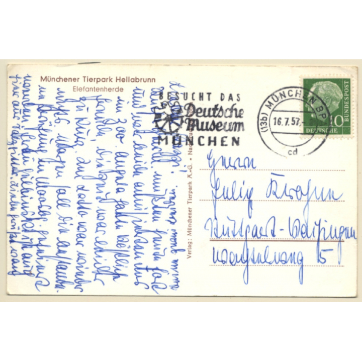 Hellabrunn: Münchner Tierpark / Elefantenherde (Vintage PC 1957)