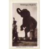 Saint Louis Zoo / USA: Performing Elephant (Vintage PC 1949)