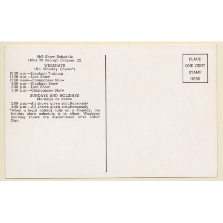 Saint Louis Zoo / USA: Elephant Training (Vintage PC 1949)