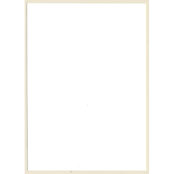 Erotic Study: Dreamy Brunette Nude With Nylons*1 (Vintage Photo GDR ~1980s)