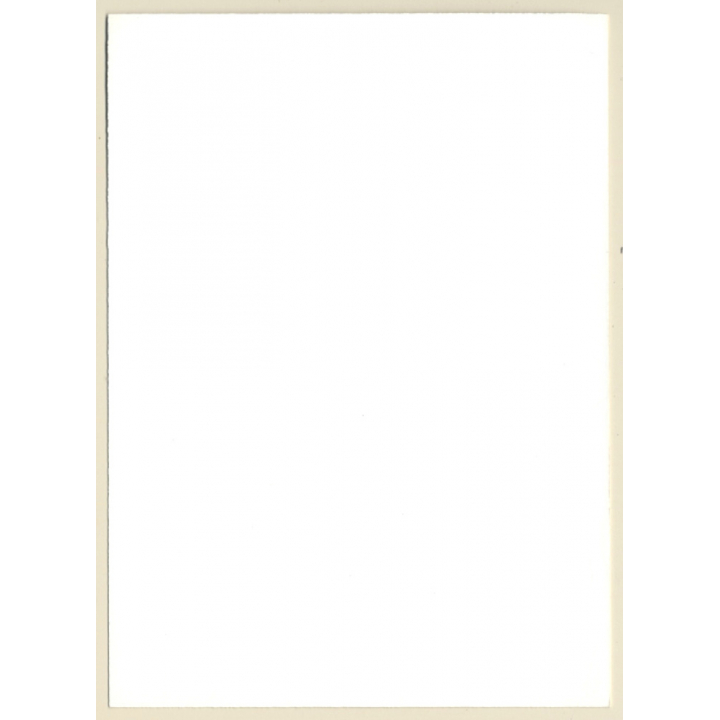 Erotic Study: Dreamy Brunette Nude With Nylons*2 (Vintage Photo GDR ~1980s)