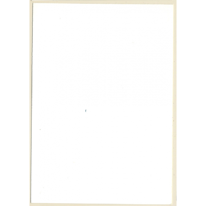 Erotic Study: Dreamy Brunette Nude With Nylons*4 (Vintage Photo GDR ~1980s)