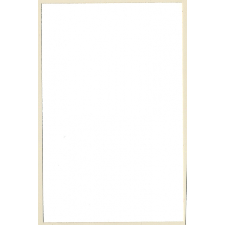 Erotic Study: Natural Blonde Nude Curlyhead*2 / Suspenders (Vintage Photo GDR ~1980s)